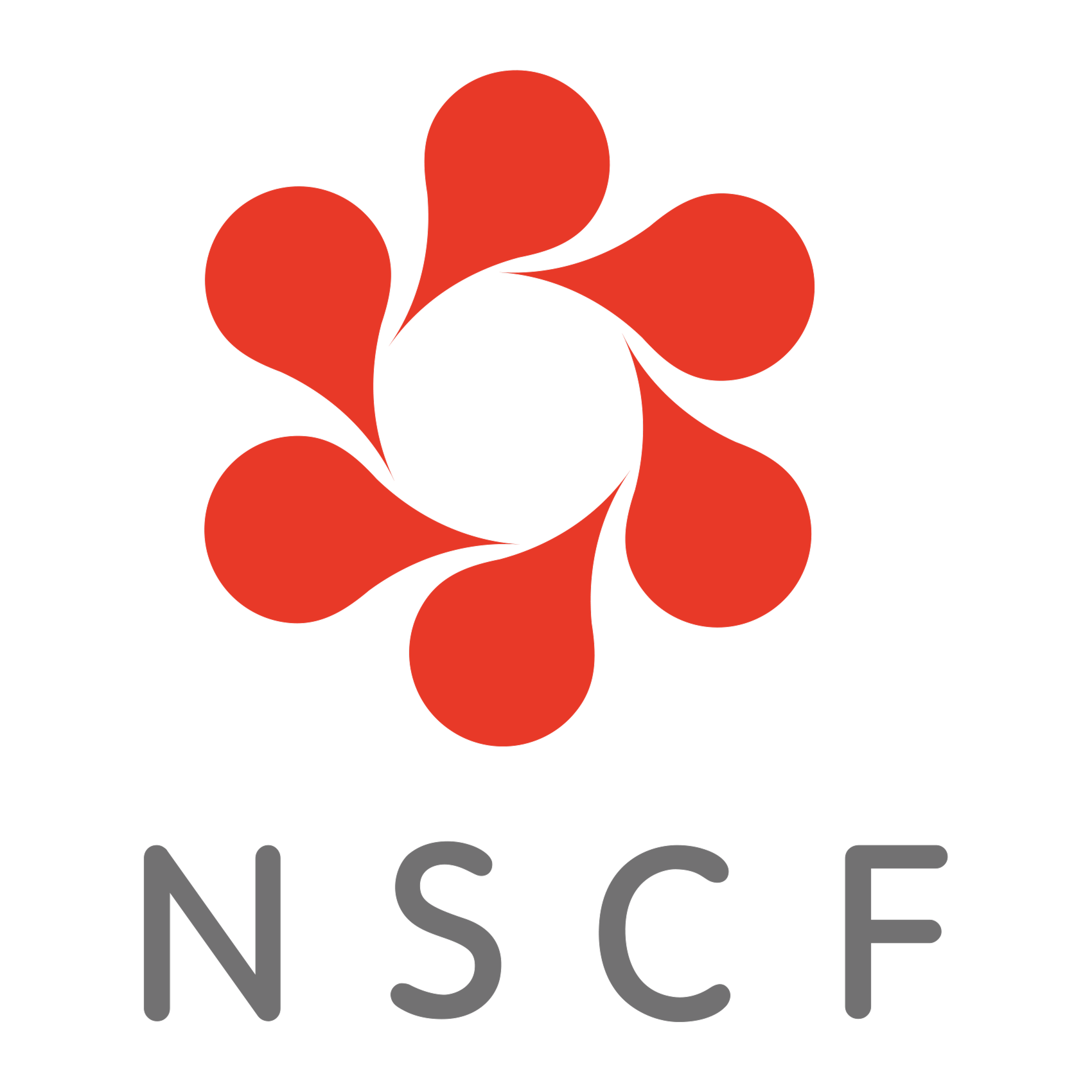 New Sunshine Charity Foundation